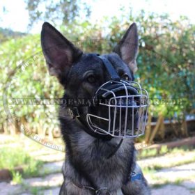 Wire Basket Dog Muzzle for Malinois, best offer!
