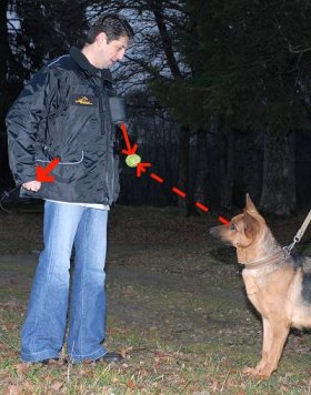 Hundeführer Jacke und Weste für Hundesport mit toller Tasche