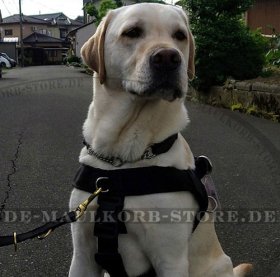 Nylon dog harness - Better control for Labrador