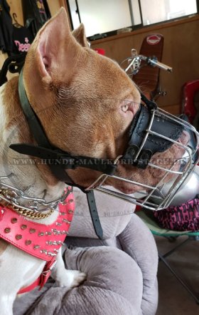 Wire Basket Dog Muzzle for Pitbull