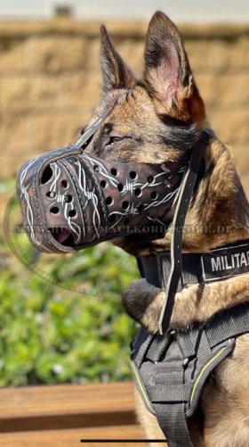 Leather Muzzle for Malinois | Designer Dog Muzzle for Attack
