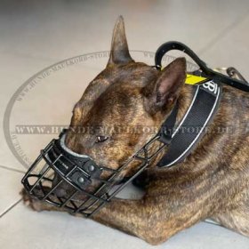 Wire Dog Muzzle for Bull Terrier, Winter Cage Muzzle 2020