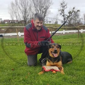 Target Stick for Schutzhund | Dog Sport Equipment