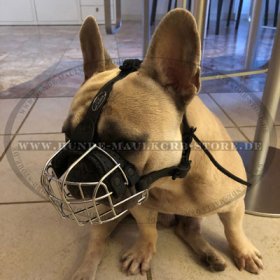 Wire Basket Dog Muzzle for French Bulldog