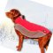 Hunde Kleidung Labrador | Hundemantel Wasserdicht ❉❉❉❉