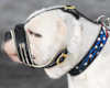 American Bulldog hundemaulkorb