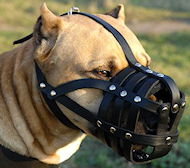 Amstaff Leather Dog muzzle with super ventilation
