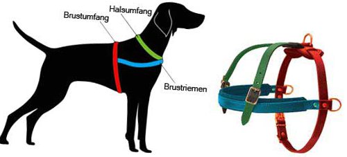 Anweisung zum Ausmessen von Hundegeschirr mit Brustgurt 