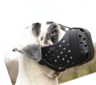 Great Dane | Dog Muzzle | Leather Muzzle | for Attack