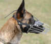 Belgian Malinois hunde maulkorb