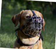 Wire Basket Muzzle for Bullmastiff | Cage Muzzle for Molossers