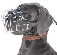 Extra Large Wire Basket Muzzle for Great Dane, Cage Dog Muzzle