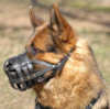 German Shepherd Hundemaulkorb