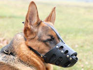 German Shepherd everyday leather dog muzzle