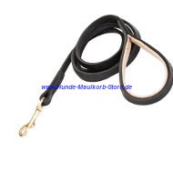 Handcrafted leather dog leash with solid brass snap hook