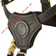 Leather Dog Harness for Small Dogs Training