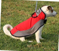 Hundemantel für Jack Russell Terrier | Moderner Überwurf ❉