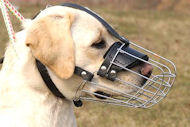 Wire Basket Muzzle for Labrador | Cage Dog Muzzle for Retriever