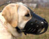 Labrador Retriever Hundemaulkorb