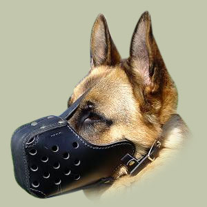 Leather-dog-muzzle-uk-M5-maulkorb.jpg