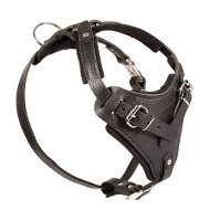 Leather Harness Padded | Harness K9 TOP QUALITY