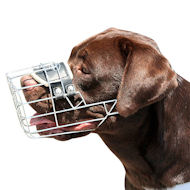 Wire Large Basket Dog Muzzle, the Best for Labrador