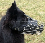 Wire Basket Muzzle for Malinois | Padded Cage Muzzle for Mali