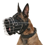 Wire Muzzle, fully padded for Malinois