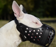 Leather Dog Muzzle for Bullterrier "Dondi plus"