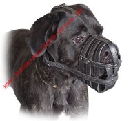 Cane-corso Everyday Light Weight Ventilation Dog muzzle
