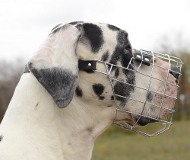 Wire Dog Muzzle for Great Dane | Free Drinking!