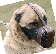Leather Dog Muzzle for Caucasian Shepherd | for Attack