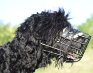 Wire Muzzle for Black Terrier, Winter Cage Muzzle 2020!