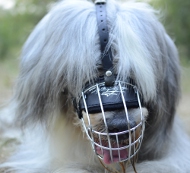 Drahtmaulkorb für Südrussischen Schäferhund! Perfektes Design