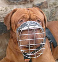 Large Wire Basket dog muzzle for large breeds, best design