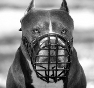 Wire Basket Dog Muzzle for American Pit Bull black rubber