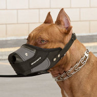 Pitbull Muzzle Closed, Dog Muzzle Nylon + Leather