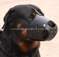 RottweilerEveryday Leather dog muzzle M51