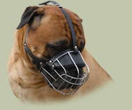 Large Wire Basket dog muzzle for large breeds, Bullmastiff