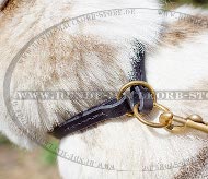 Zughalsband aus Fettleder für Jagdhunde und Schlittenhunde