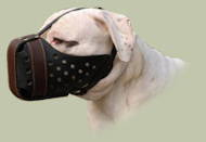 "Dondi plus" Hundemaulkorb aus Leder, American Bulldog