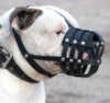 American Bulldog hundemaulkorbe