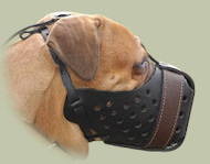 Bullmastiff leather Dog Muzzle "Dondi plus"