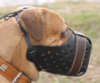 Bullmastiff dog Muzzles