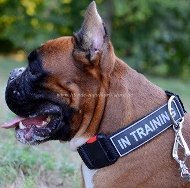 Boxer Halsband aus Nylon mit Logo NEW