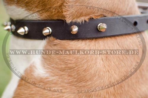 Hundehalsband aus Leder 19 mm