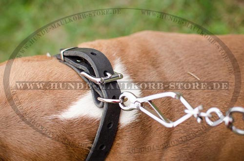 Hundehalsband aus Leder 19 mm breit