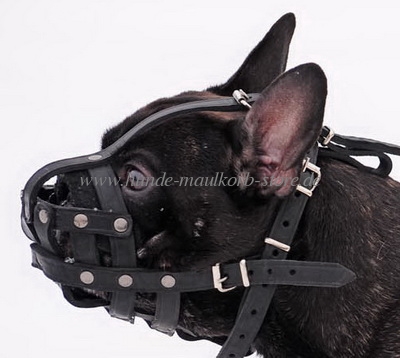 Maulkorb Franzoesische Bulldogge mit super Luftzirkulation