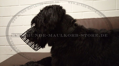 Schwarzer Terrier Maulkorb aus Draht kaufen