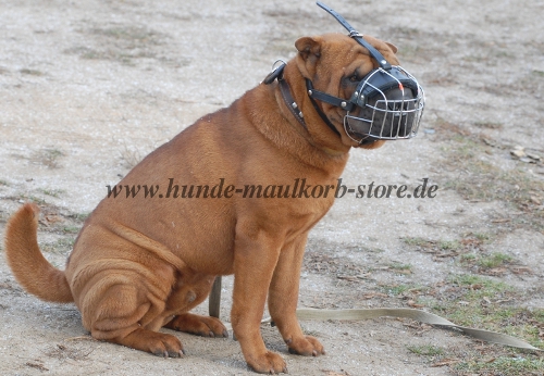 Metallischer Drahtmaulkorb Hund mit
Polster